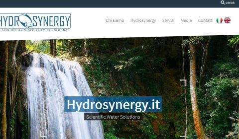 Hydrosynergy