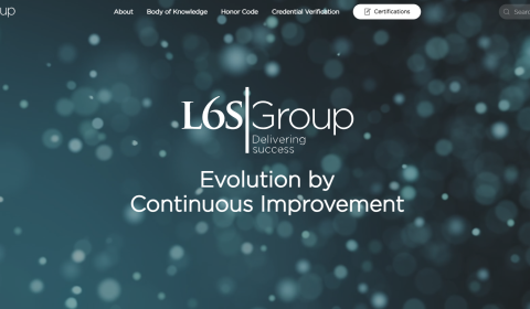 L6S Group